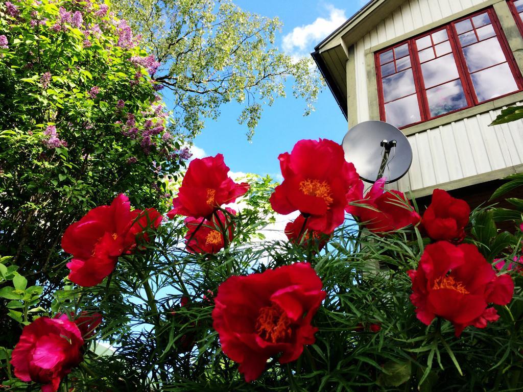 Sweden Slow Living Gosunda Ngoại thất bức ảnh